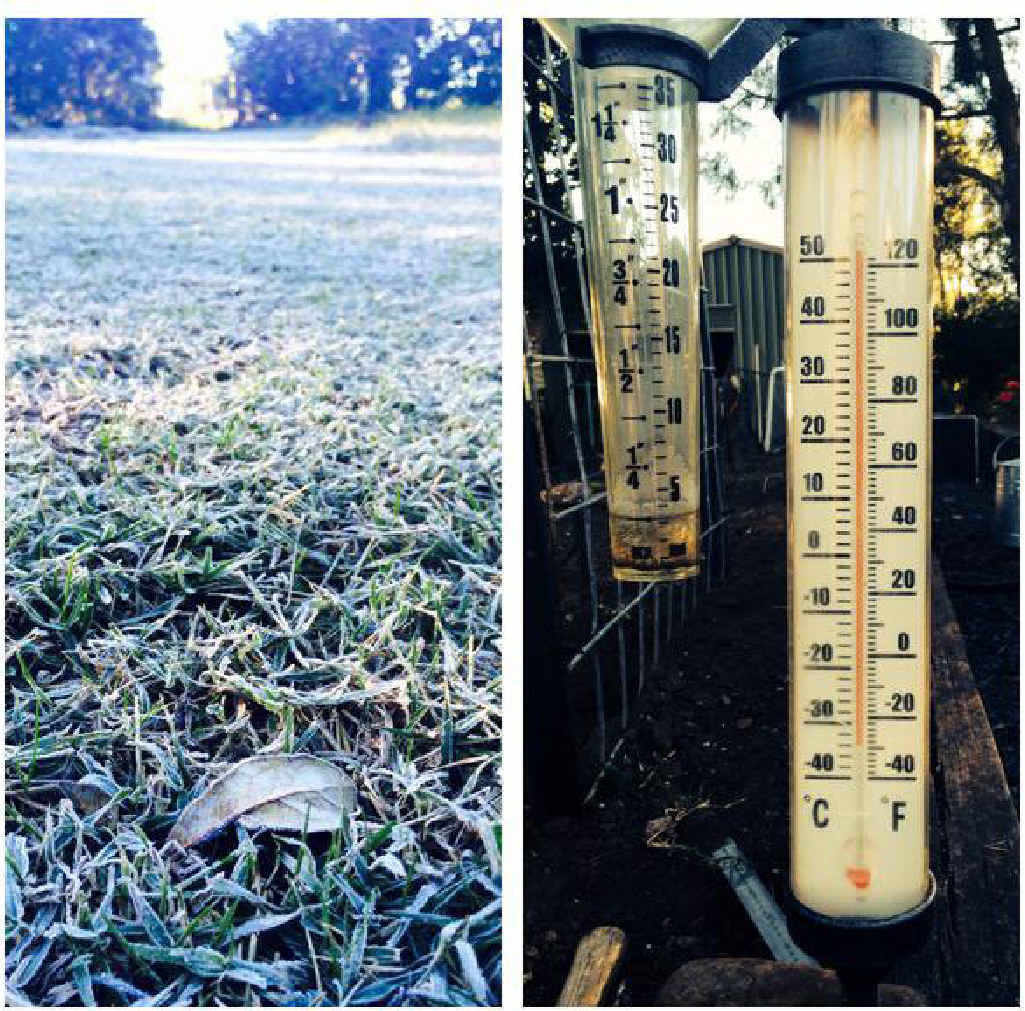 ABOVE: A frozen tap with a droplet of ice, a frozen lawn and a seemingly frozen thermometer which says minus 35 degrees!